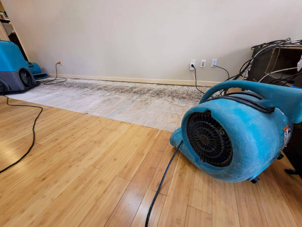 Professional Flood Damage Cleanup technician working in Geraldine, AL